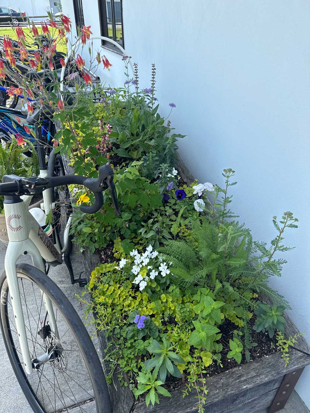 garden box