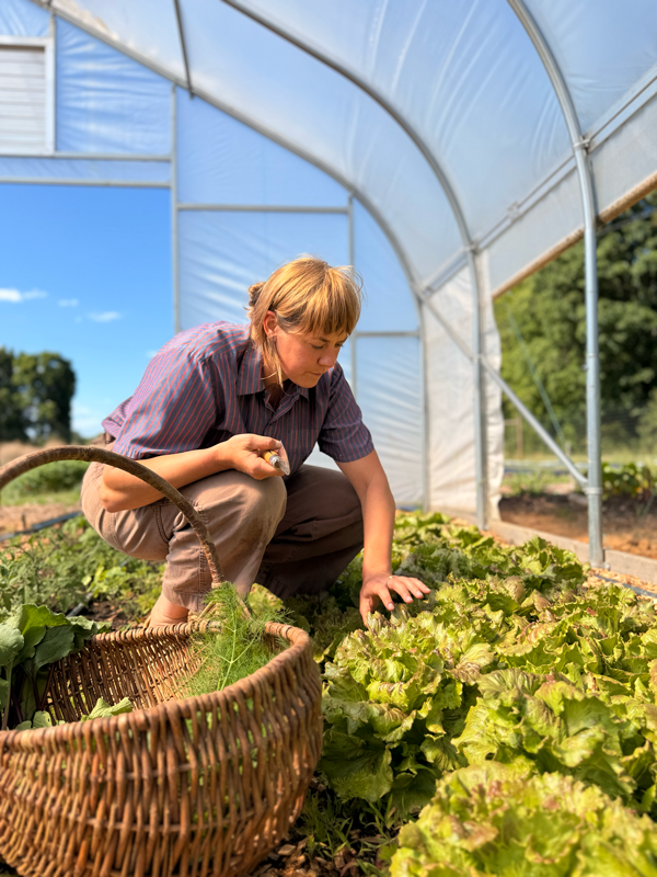 woman tending her garden of leafy greens
