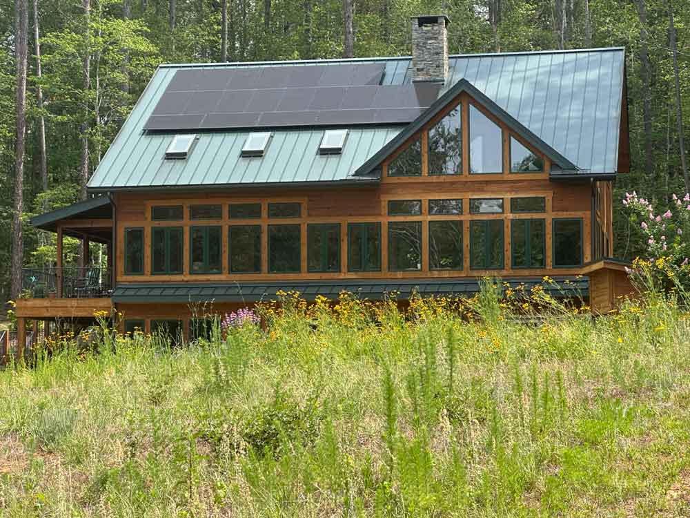 Wildflower Meadow at home