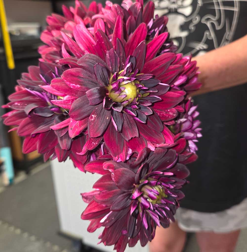 Bouquet