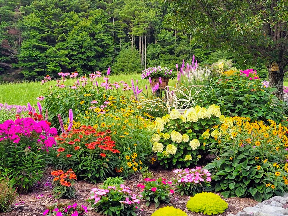 Field of Colorful Annuals and Perennials
