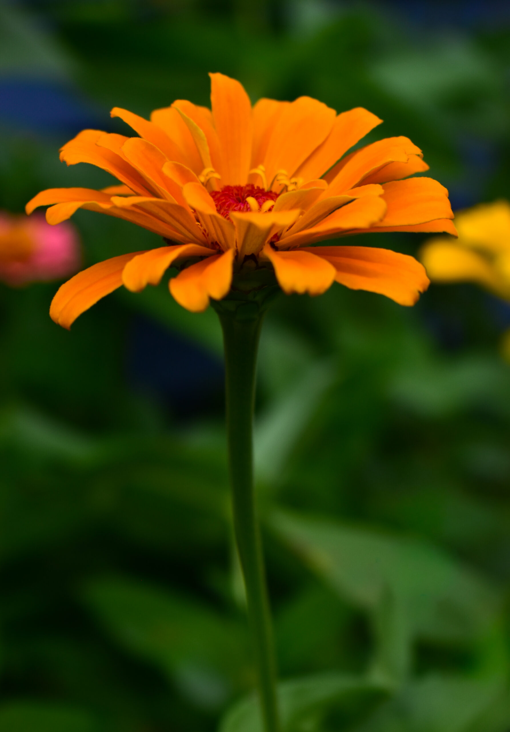 One Stood Out From The Crowd