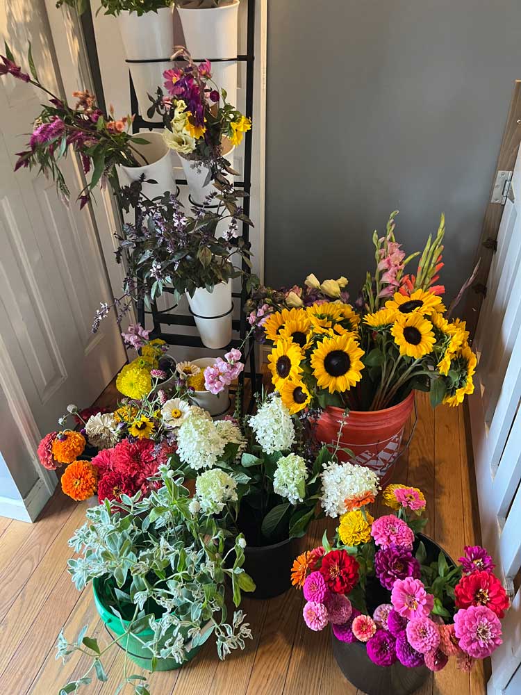 Flower Heaven