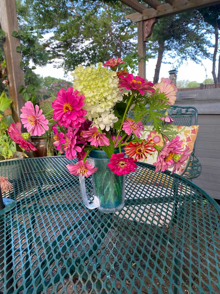 Glorious Zinnias!