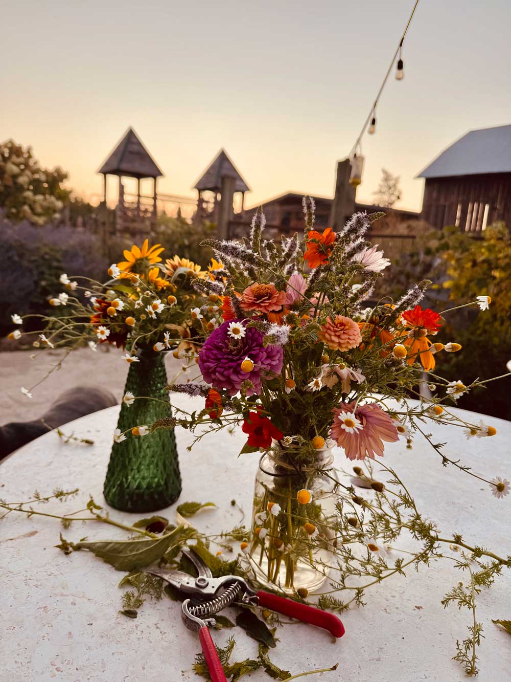 Feeding the pollinators and my soul with flowers
