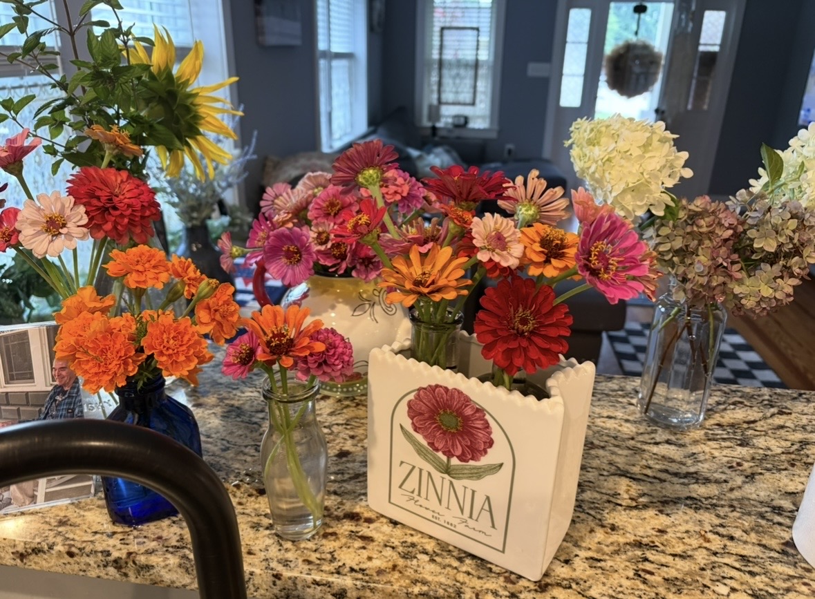 My kitchen counter summer showcase 🌸❤️