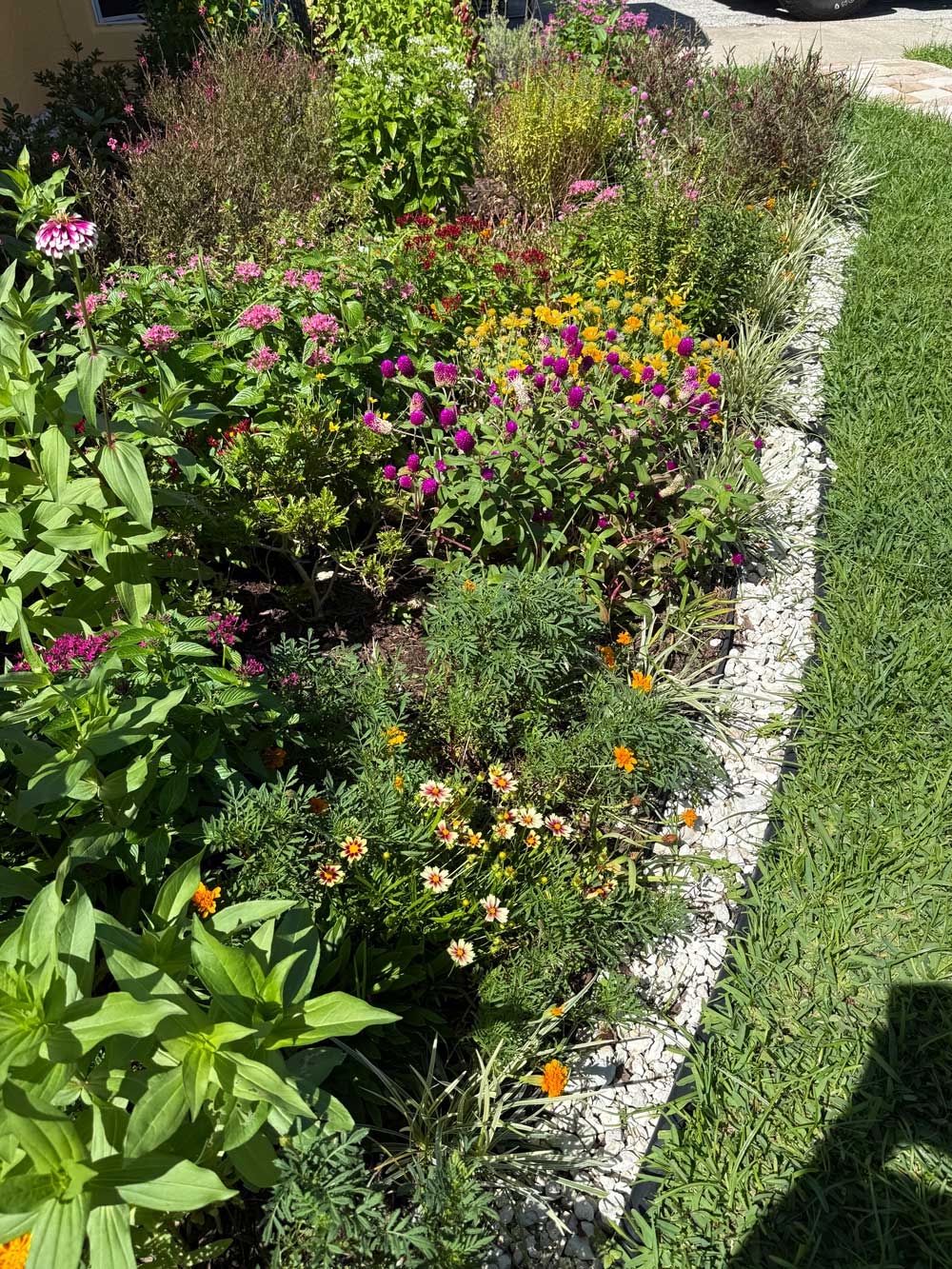 My Florida Cottage Garden!