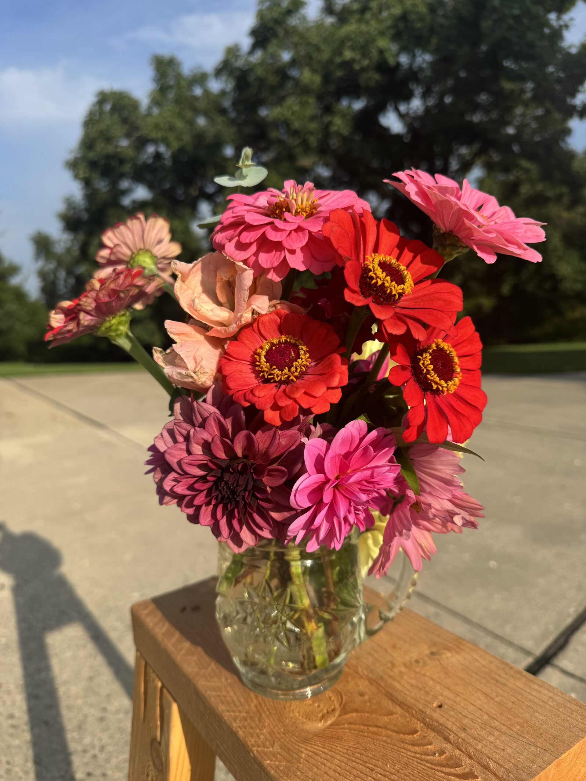Arrangements of Zinnias, cosmos, dahlias