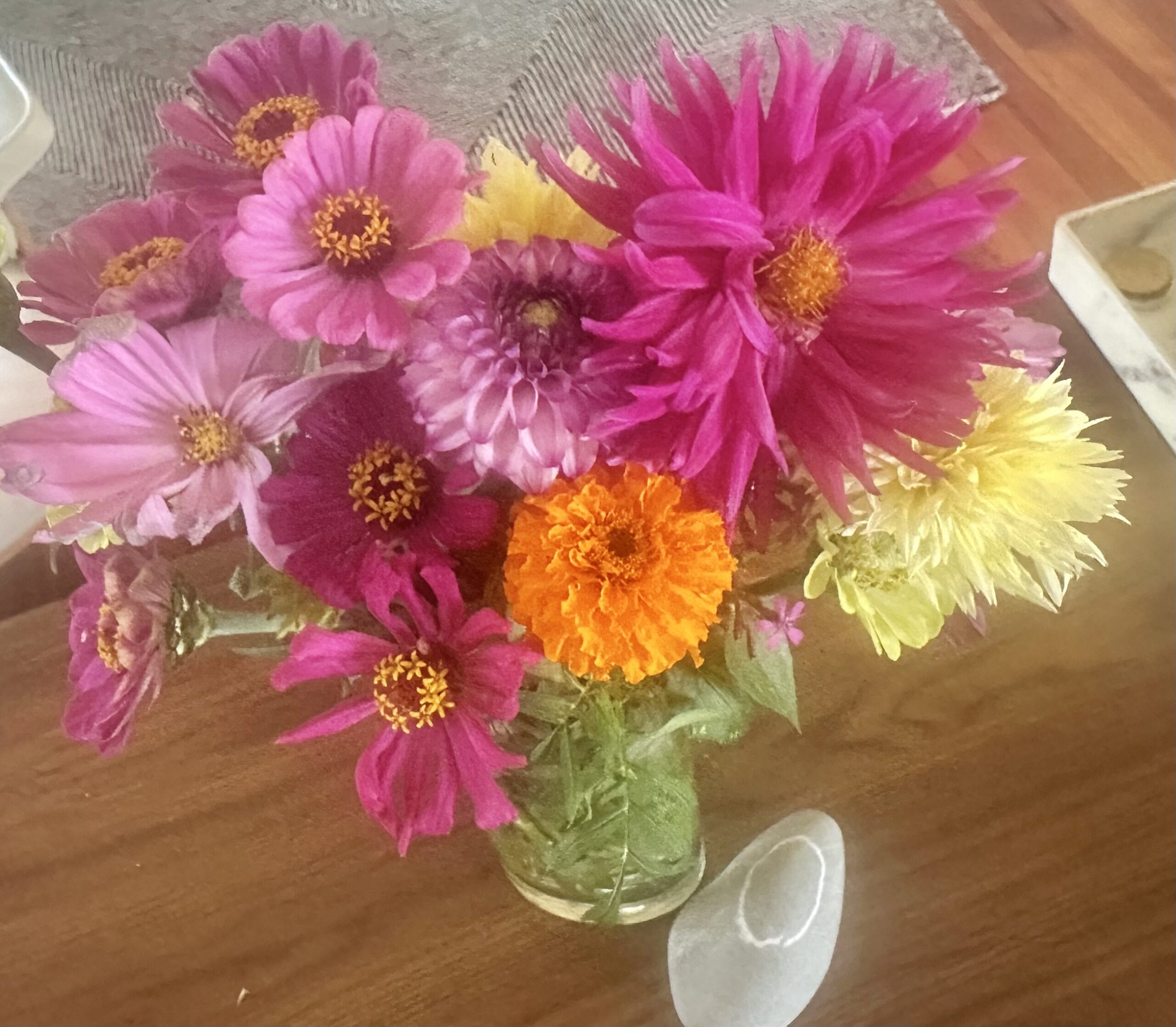 Dahlia and zinnia
