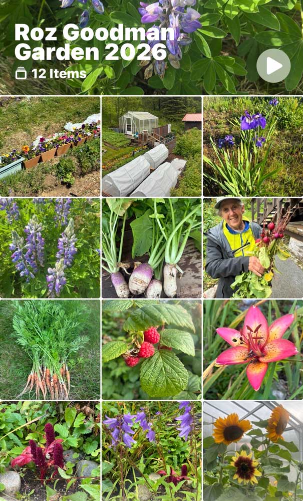 A collage of my garden veggies and flowers