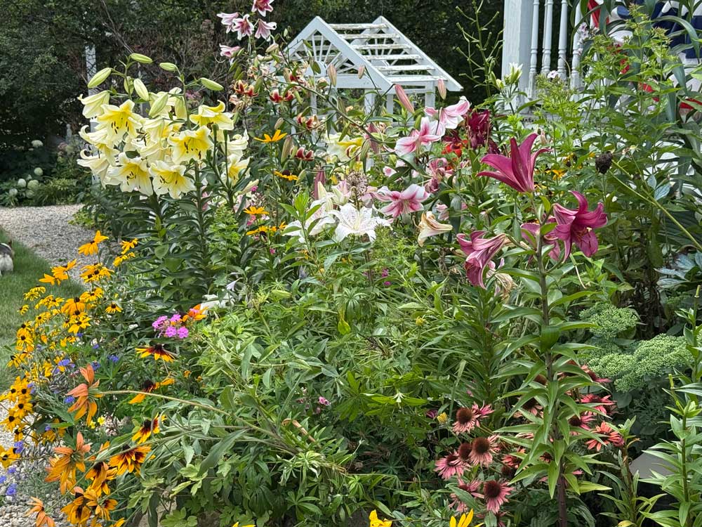 My garden of Eden